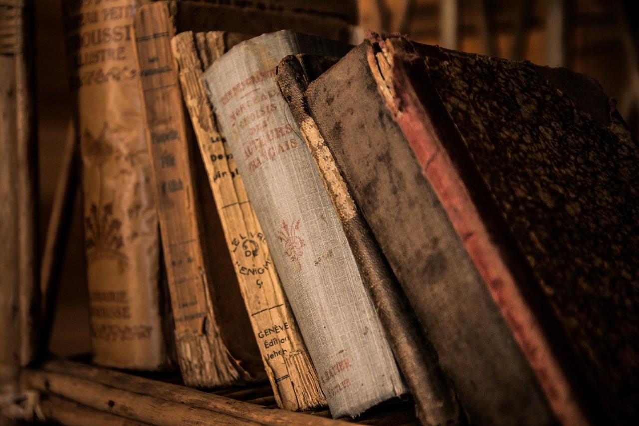 Biblioteca Consell