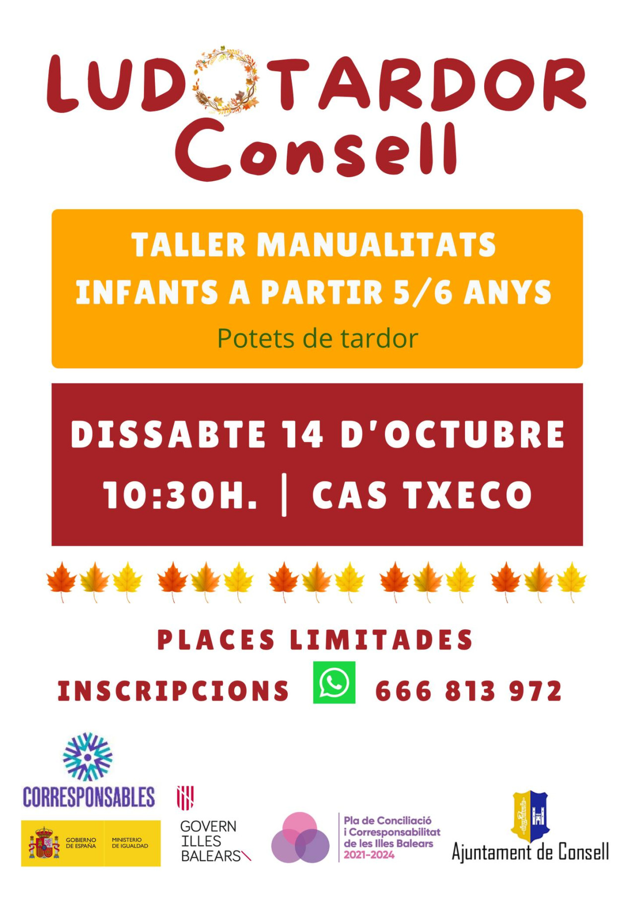LUDOTARDOR CONSELL