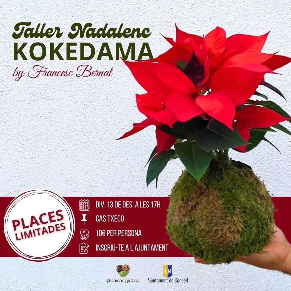 Taller nadalenc