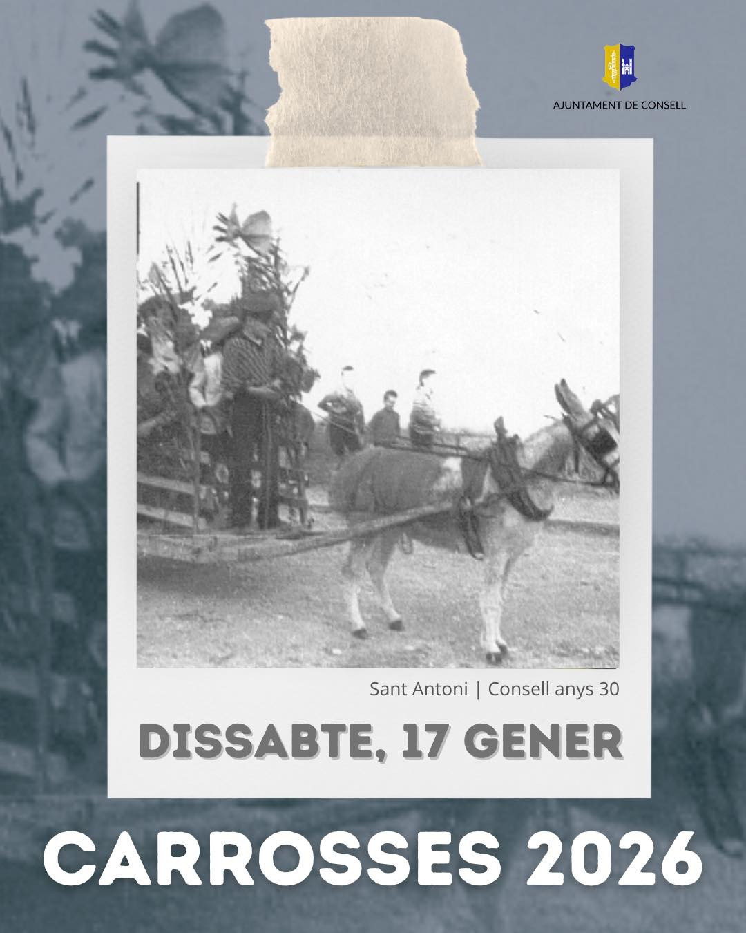Carrosses de Sant Antoni