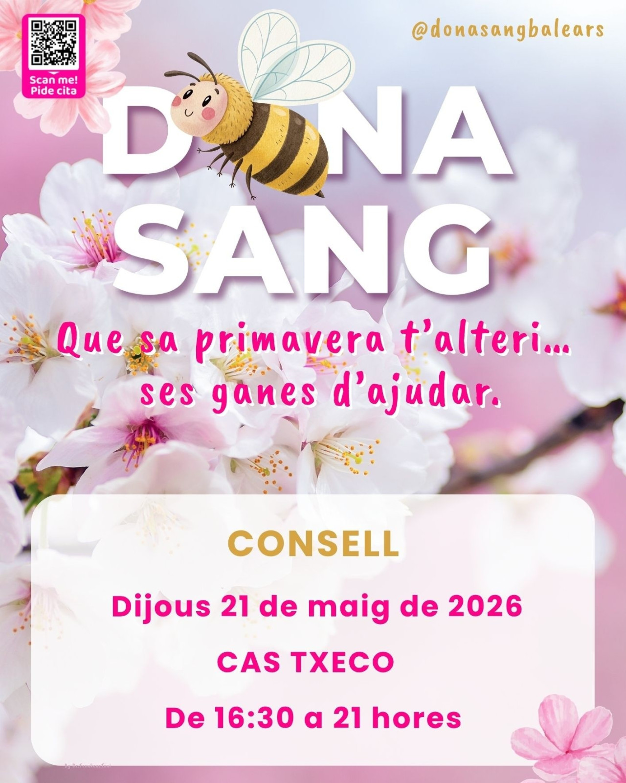 DONACIÓ DE SANG A CONSELL