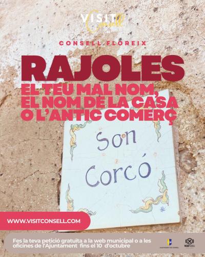RAJOLES DEL CENTENARI consell