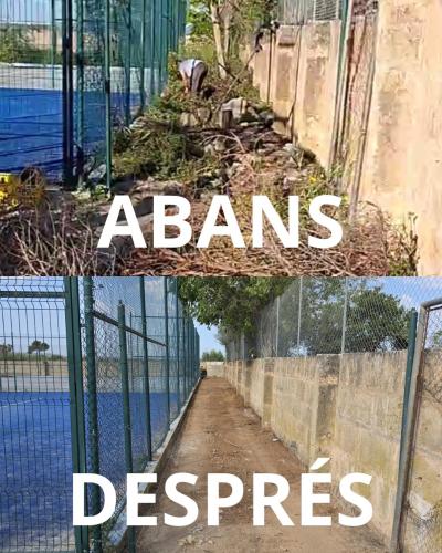 Consell