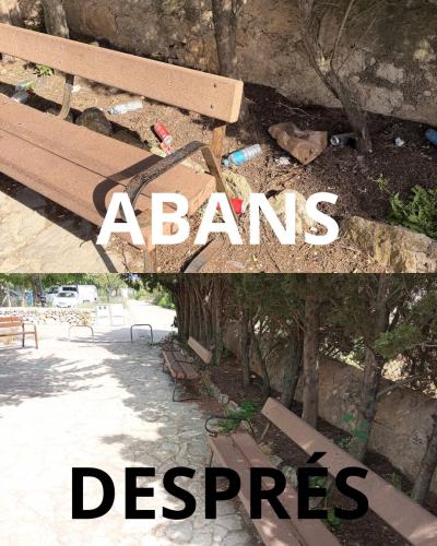 Consell