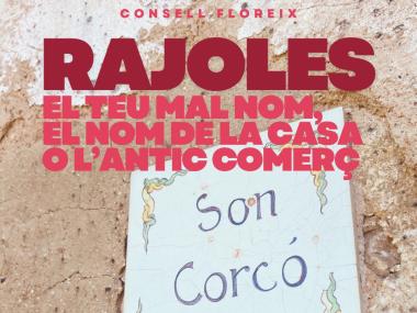 RAJOLES DEL CENTENARI consell
