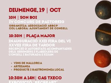fira consell