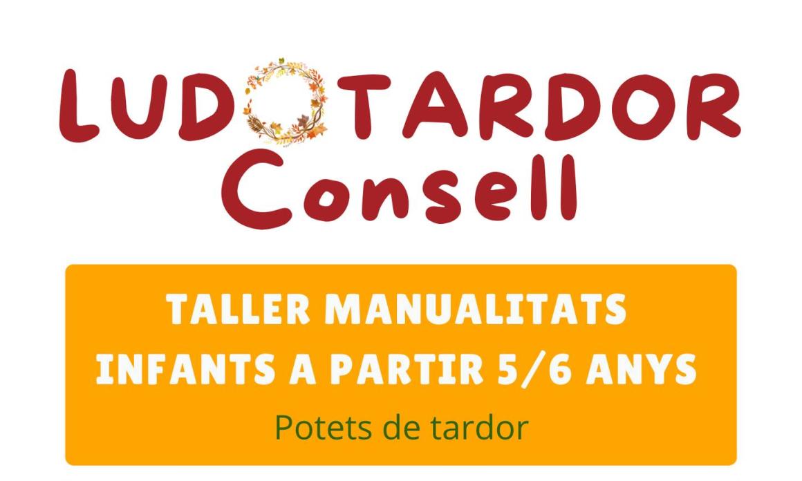 LUDOTARDOR CONSELL