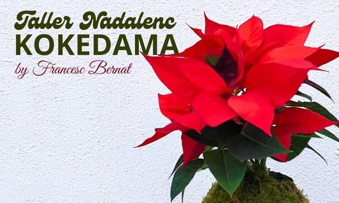 Taller nadalenc