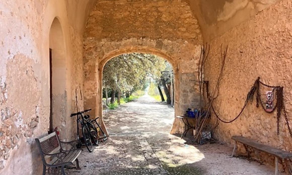 Nostrum - Cicle de visites guiades