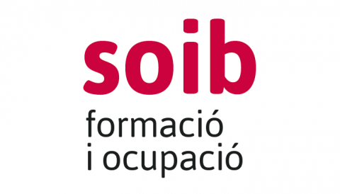 SOIB Visibles 2019-2020