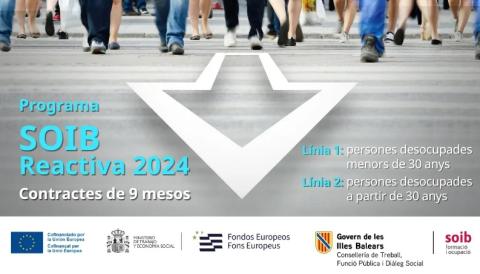 SOIB-REACTIVA-2024